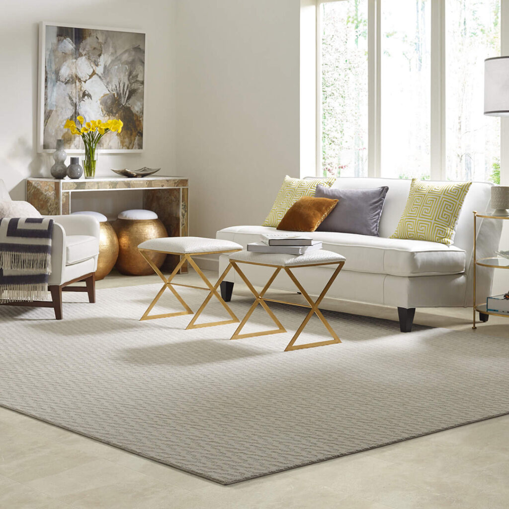Area Rug | Carpet House Flooring Center