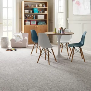 Kids playroom Carpet | Carpet House Flooring Center