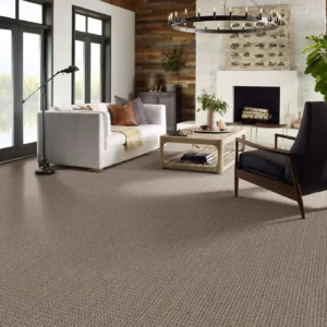 Carpet in a sitting room | Carpet House Flooring Center
