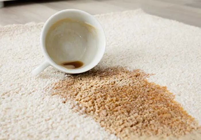 Area rug care | Carpet House Flooring Center